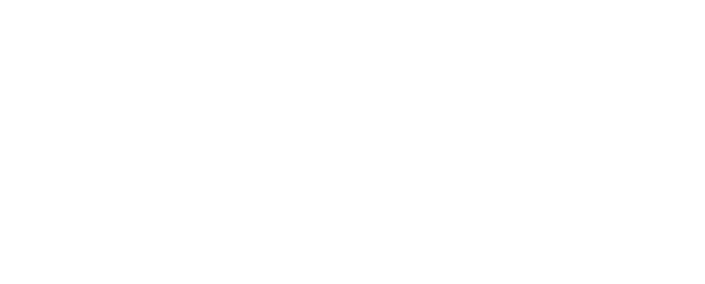 No Limit Freight & Brokerage