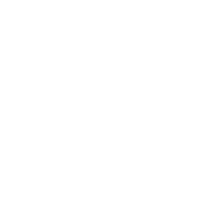 NoLimitFreight Icon 01