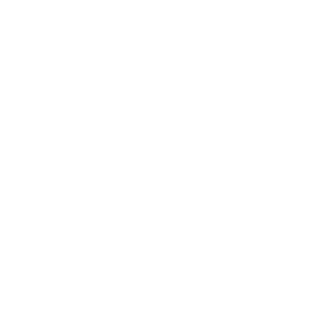 NoLimitFreight Icon 03